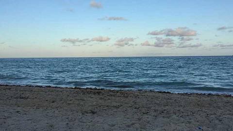 Love in the Making Love in the Making