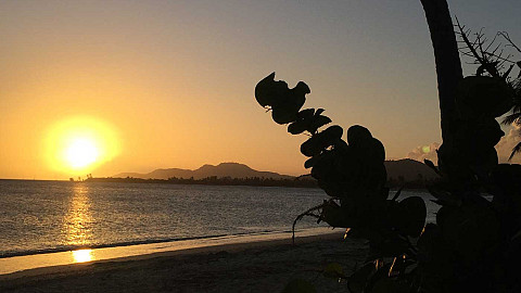 With Abandon With Abandon