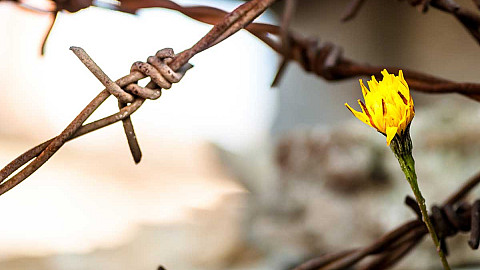 When We Were Together When We Were Together